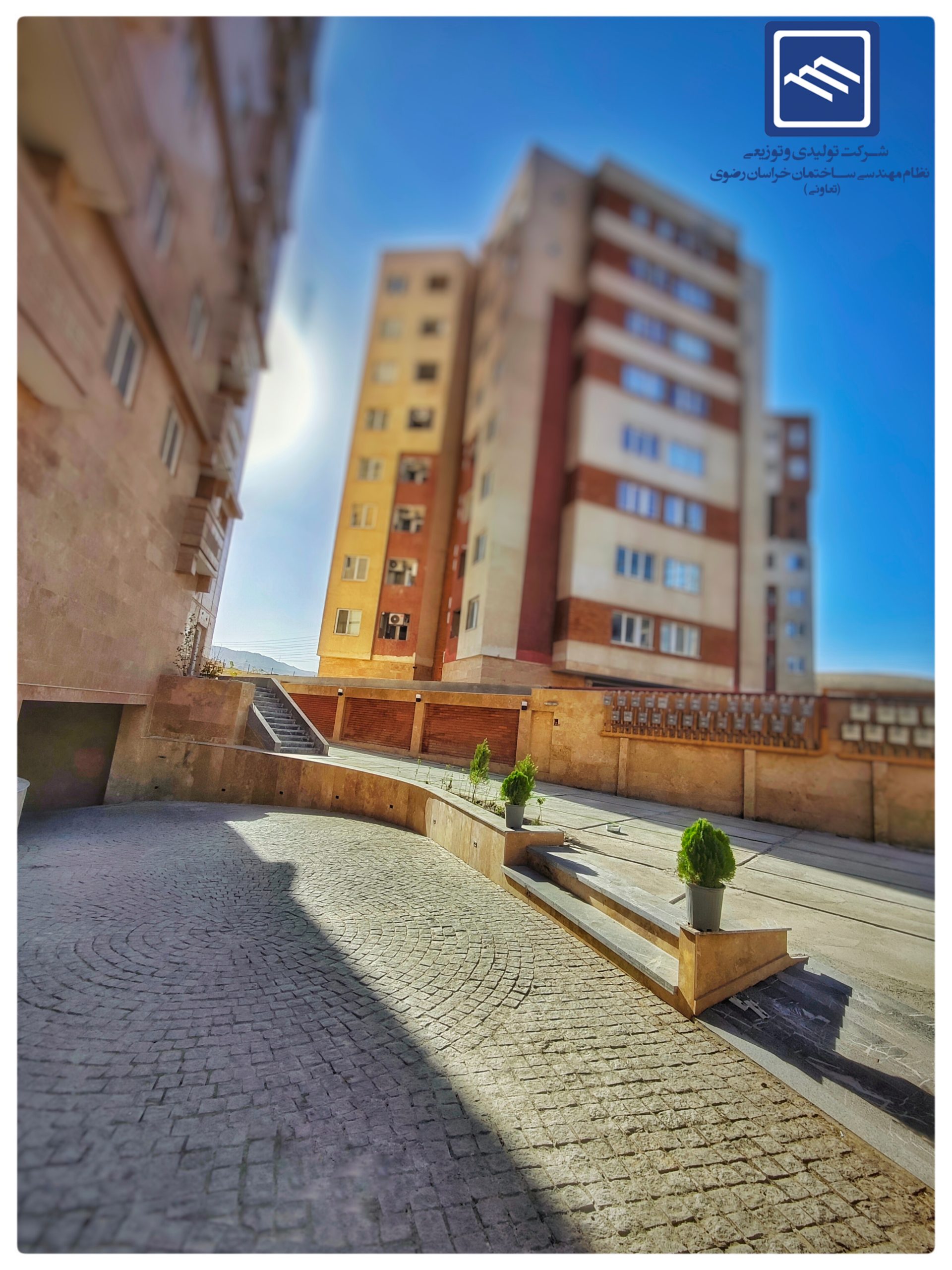 InShot_20250803_022742855